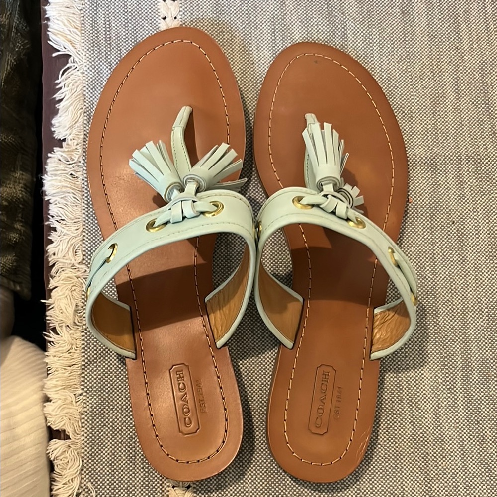 Coach Sheena Tan and Mint Sandals with Tassel Details